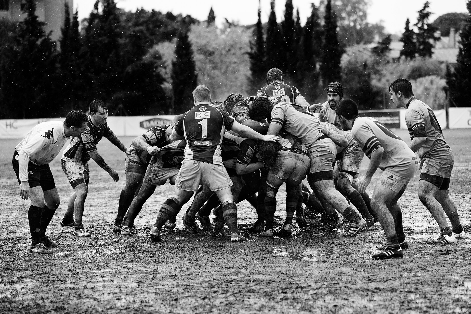 Rugby union match action