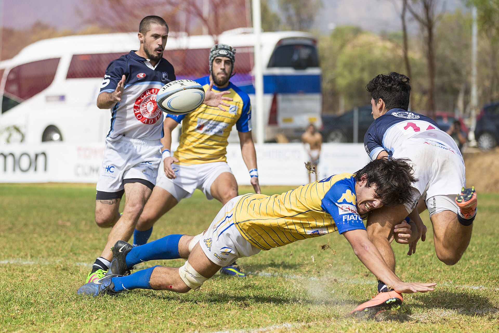 Rugby union match action