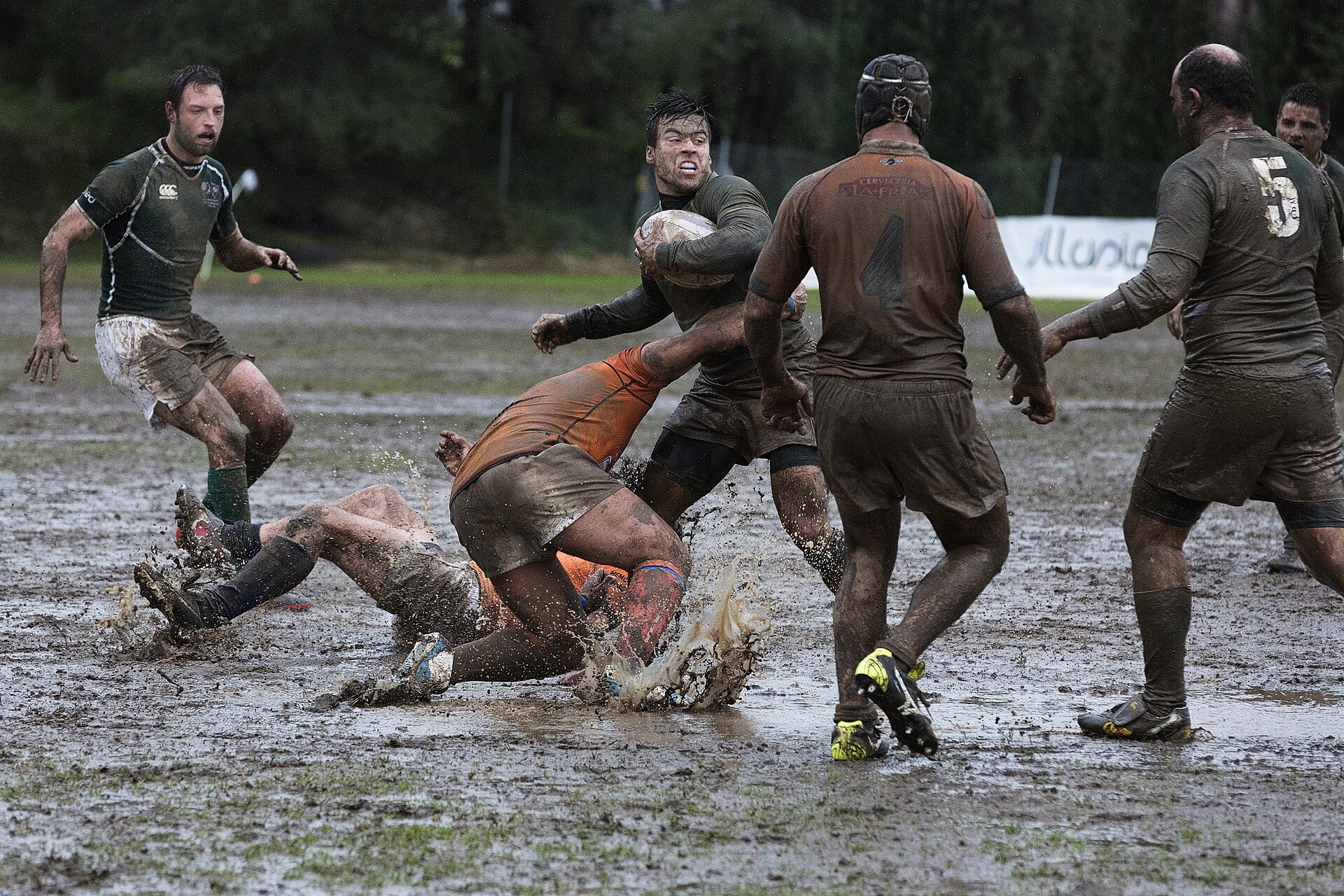 Rugby union match action